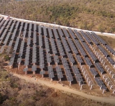 Jakson Solar Powers India's Largest Agrivoltaics Project in Madhya Pradesh