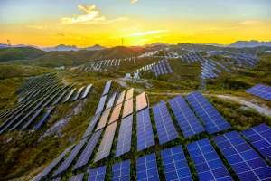 Bannerghatta Biological Park Becomes India's First Fully Solar-Powered Zoo