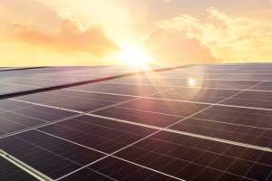 Solar Powered Cold Storage Emerging as a Sustainable Solution