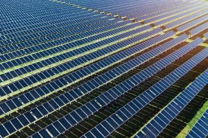 What 8,846 Solar Pumps in Maharashtra Teach Us About Rolling Out Renewables Nationwide