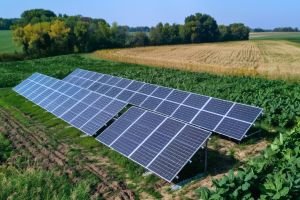 AgriPV Could Unlock Over 2 TW Solar Capacity in India Without Displacing Farmland Report